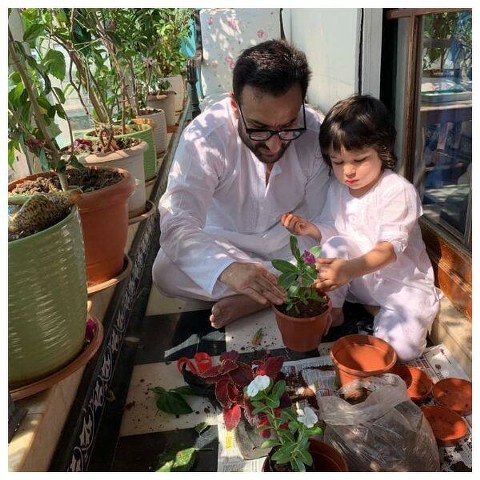 Giving out the message of staying at home, Saif and son Taimur planting Saplings in their house balcony, amid Janta Curfew