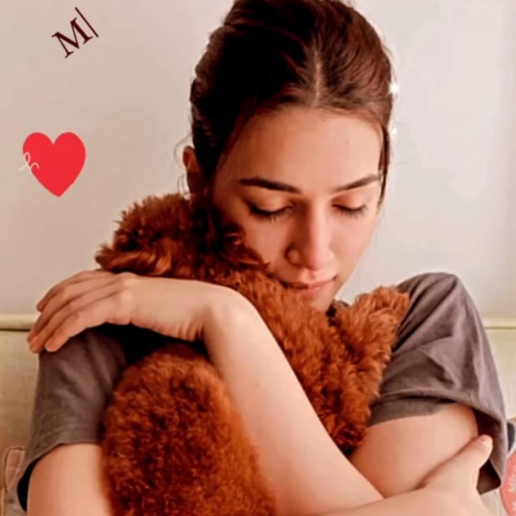 Kriti Sanon gives us PAWdorable glimpse of her lazy Sunday with her furry friend and it is all things cute